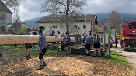Traditionelles Maibaum-Aufstellen in Nesselwang