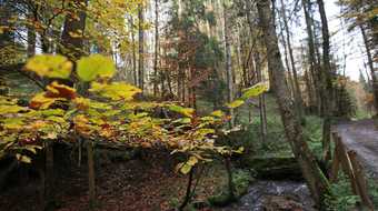 Kappeler Höhenweg