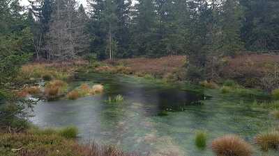 Nesselwang Allgäu