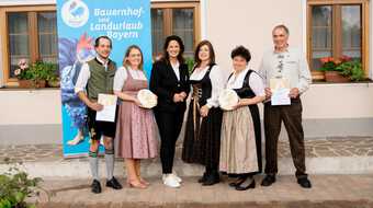 Preis Goldener Gockel