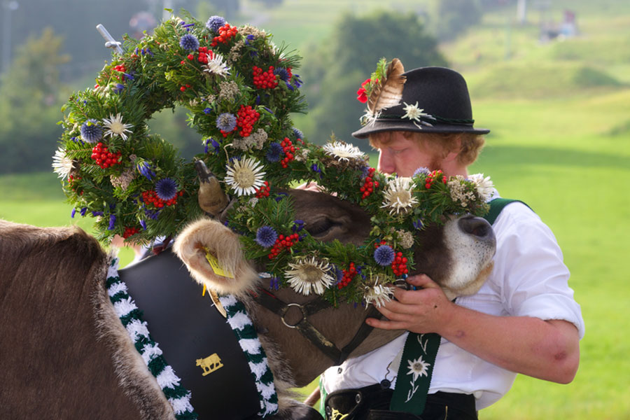 Nesselwang Allgäu Almabtrieb