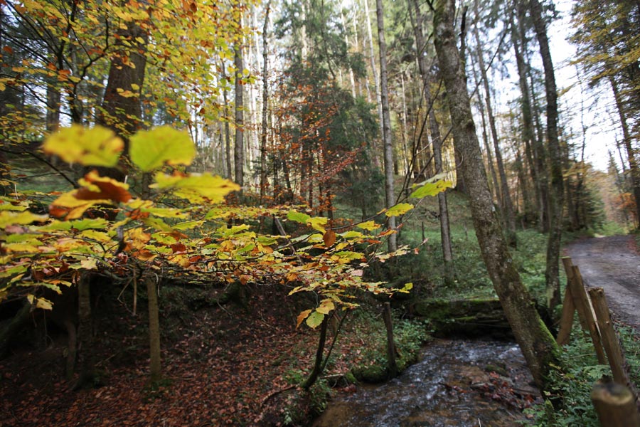 Kappeler Höhenweg