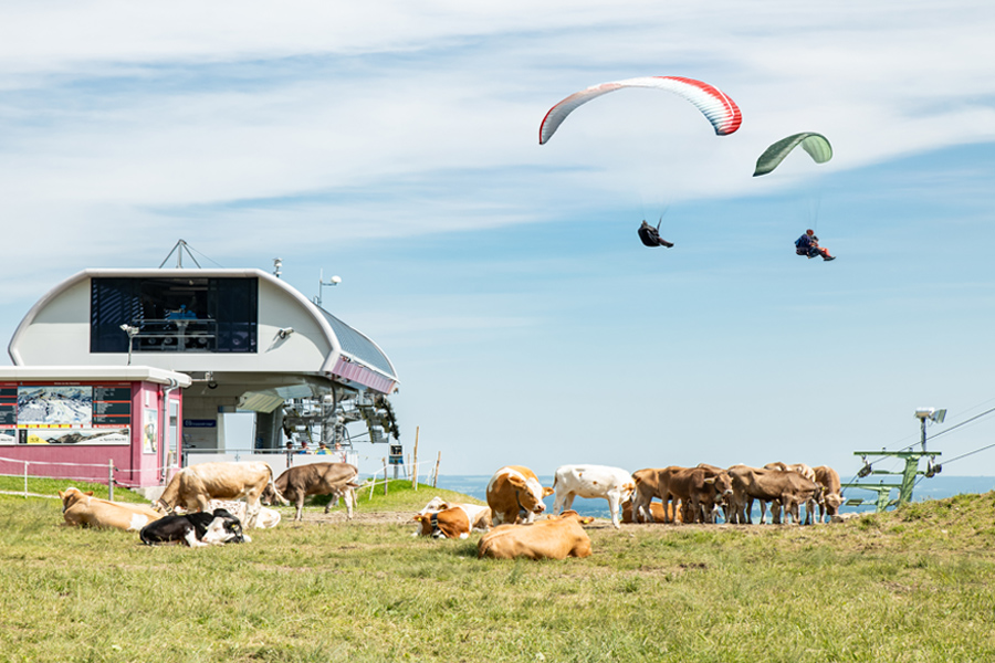Gleitschirmfliegen im Allgäu