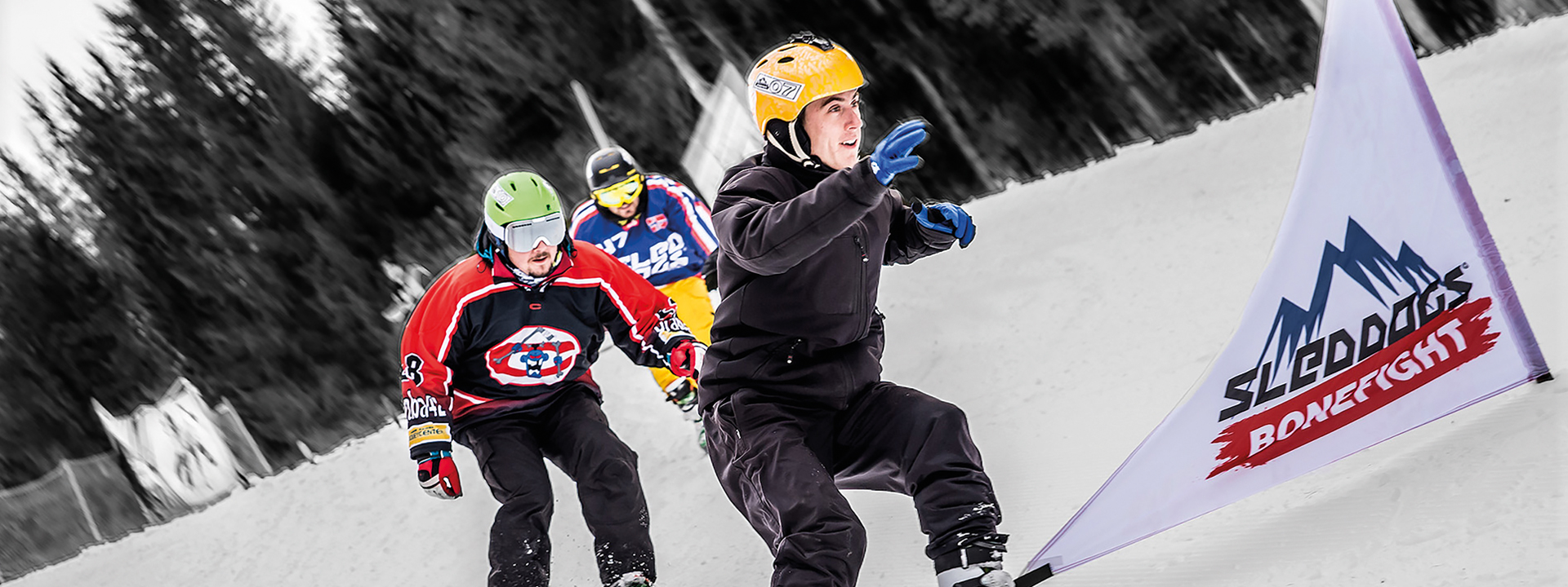 Sled Dogs Snowskates