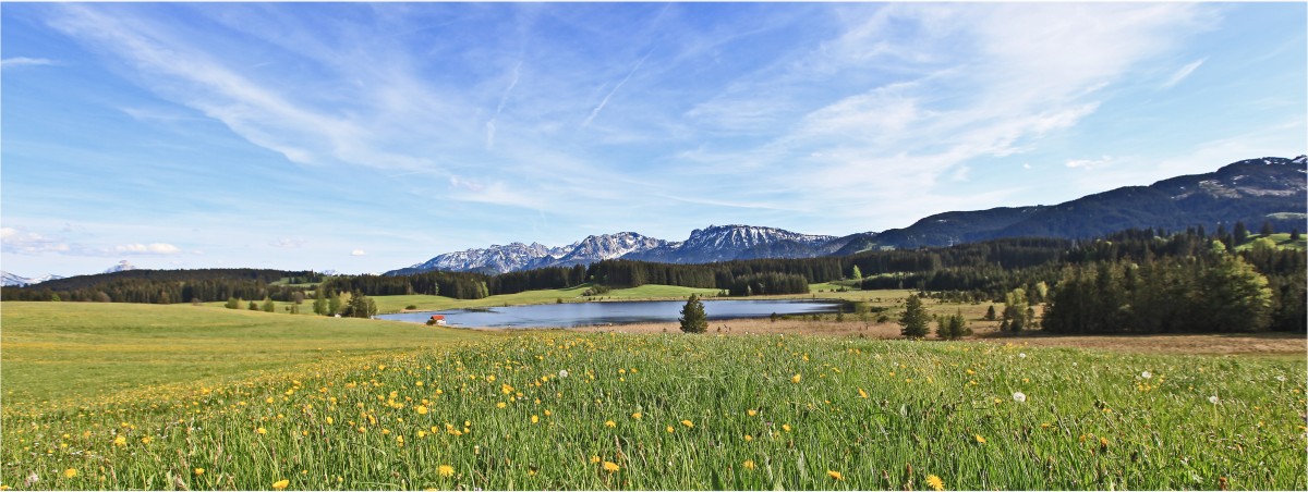 See Nesselwang Allgäu