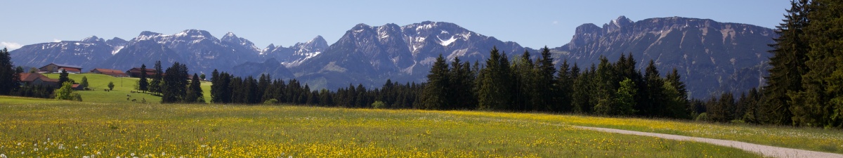 Alpenpanorama Nesselwang im Allgäu