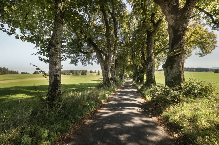 Kurfürstenallee auf der Idyllegarten-Route, © Peter von Felbert