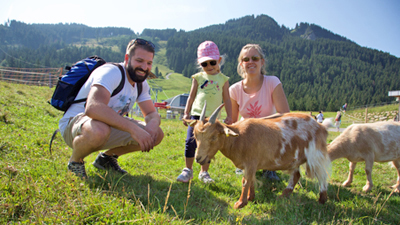 Streichelzoo an der Alpspitze
