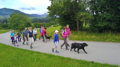 Käsewanderung