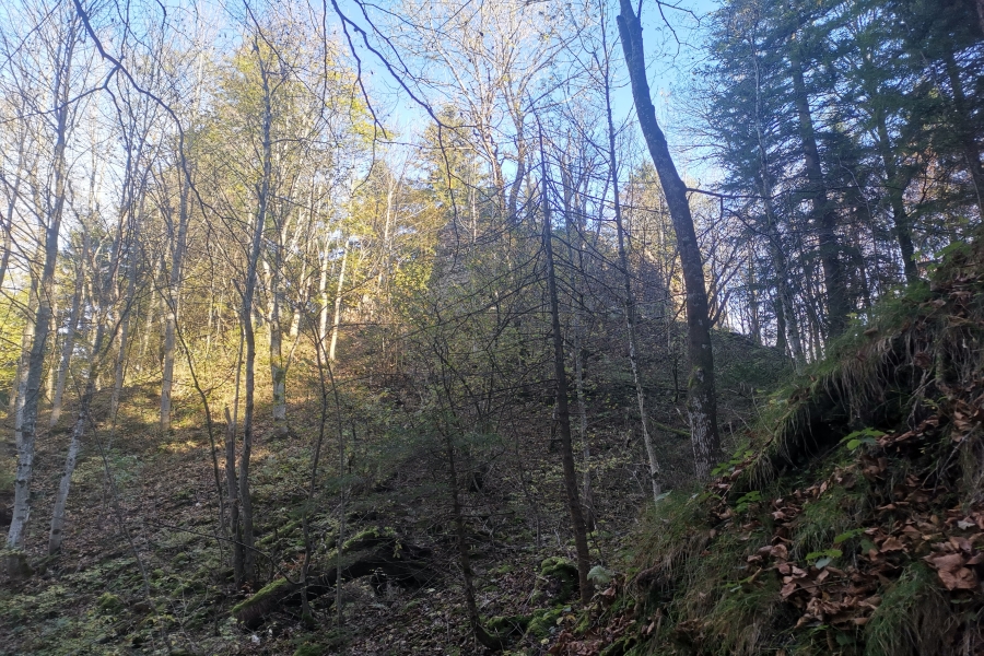 Ruine Nesselburg
