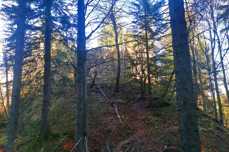 Ruine Nesselburg