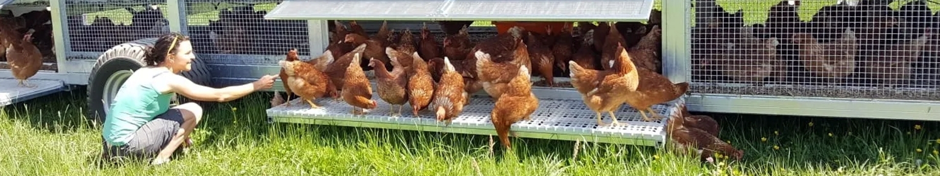 Mobiler Hühnerstall