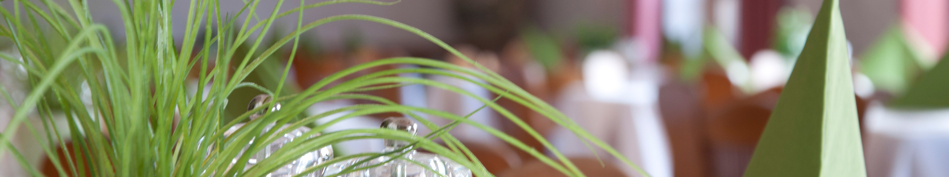 Restaurant Familienhotel Löwen in Nesselwang